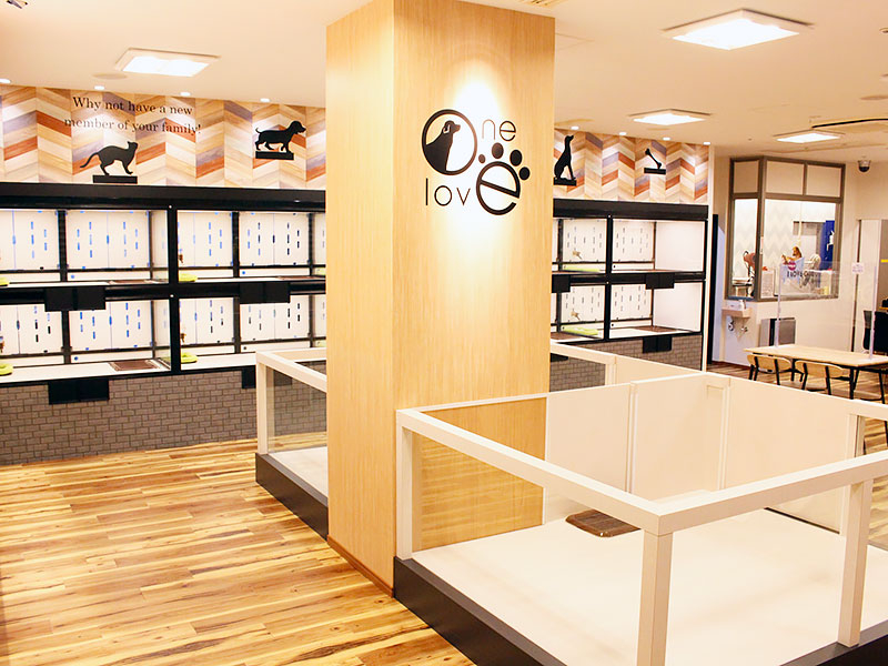 ワンラブ ドン・キホーテ パウ中川山王店
