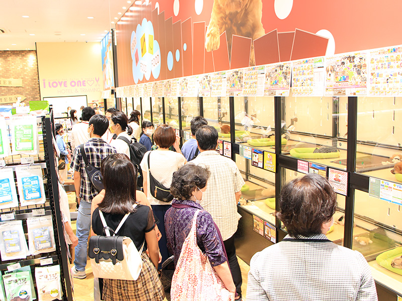 ペットショップワンラブ ゆめタウン別府店