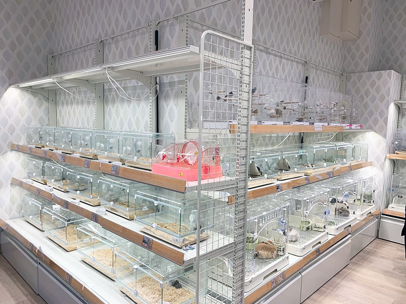 ペットショップワンラブ ホームワイド若松店