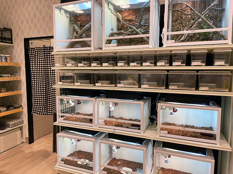 ペットショップワンラブ ホームワイド若松店
