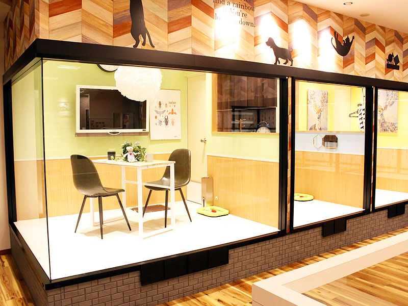 ワンラブ ドン・キホーテ パウ中川山王店