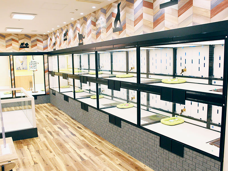 ワンラブ ドン・キホーテ パウ中川山王店