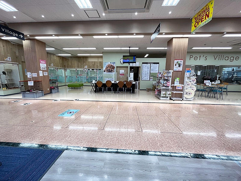 ペッツビレッジ アピタ木曽川店