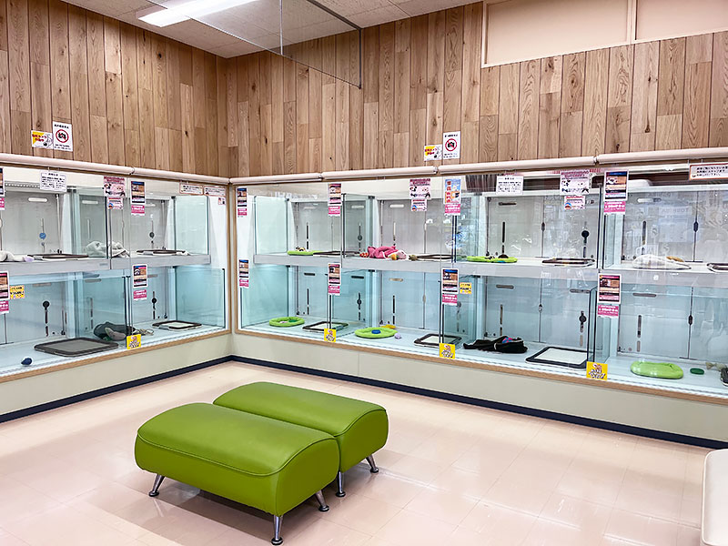 ペッツビレッジ アピタ木曽川店