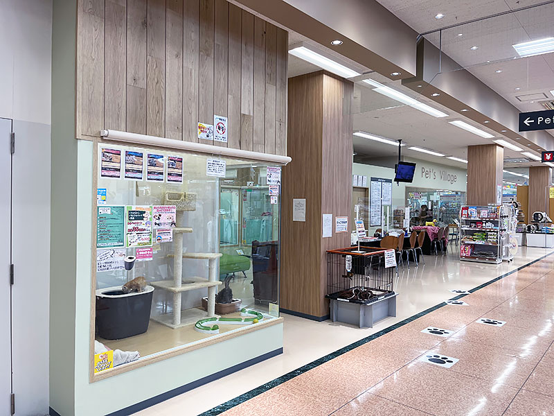 ペッツビレッジ アピタ木曽川店