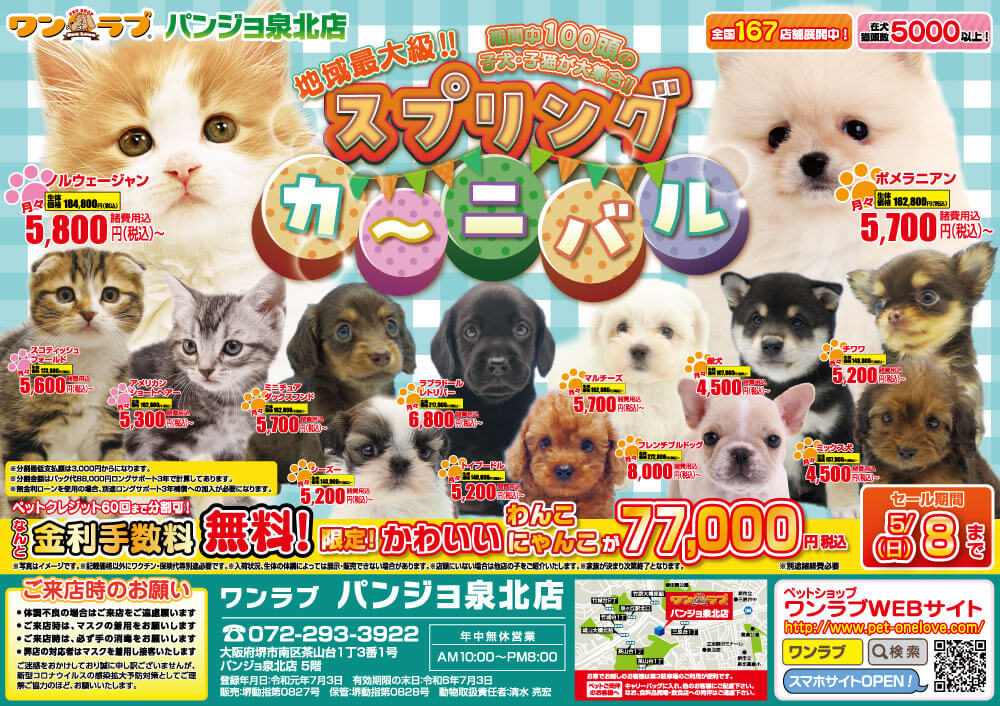 20220423-ペットショップワンラブ パンジョ泉北店チラシ