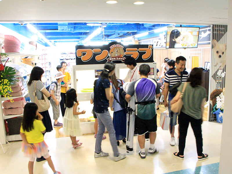 ペットショップワンラブ パンジョ泉北店