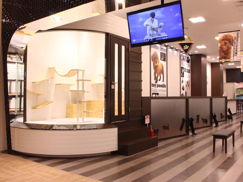 ペットショップワンラブ イーアス高尾店
