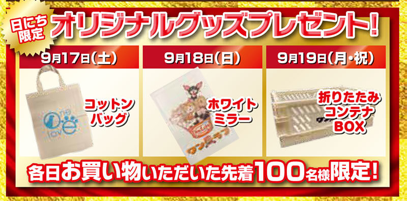 20220917-ペットショップワンラブ イズミヤ和歌山店
