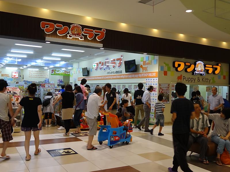 ペットショップワンラブ イオンタウン津城山