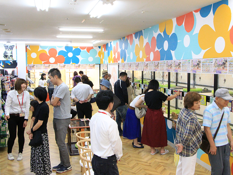 ペットショップワンラブ MEGAドン・キホーテ福岡福重店