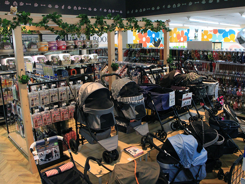ペットショップワンラブ MEGAドン・キホーテ福岡福重店