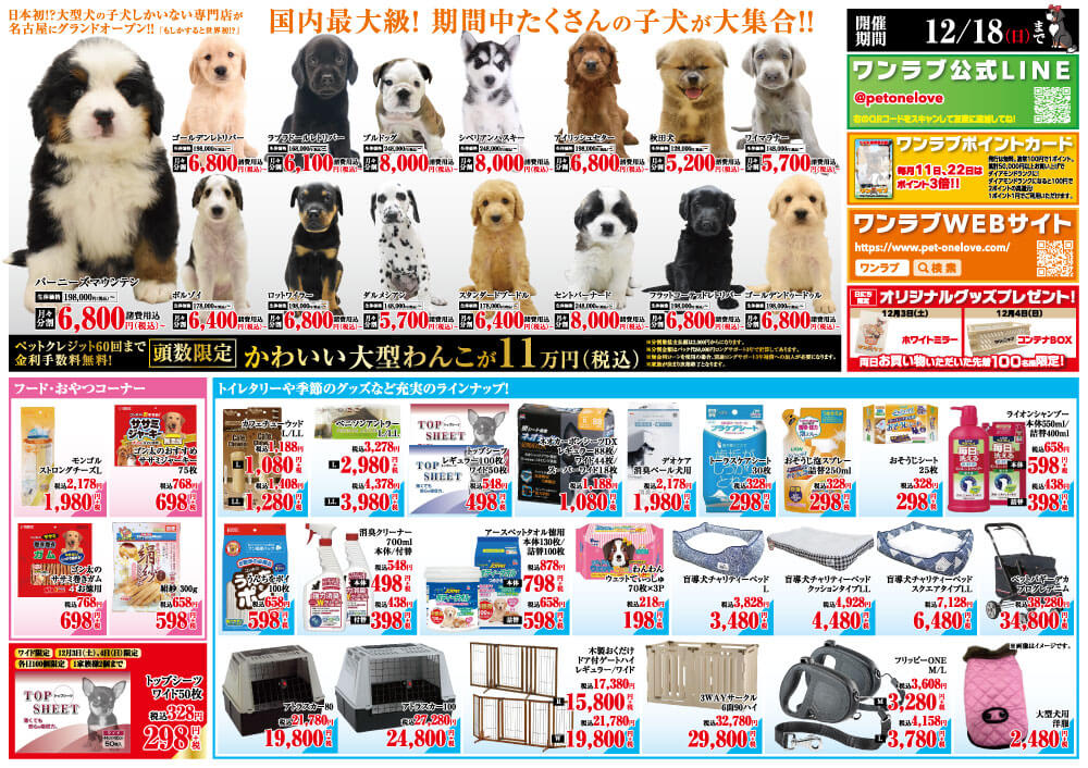20221203-おっきなもふもふ応援隊オープンチラシ
