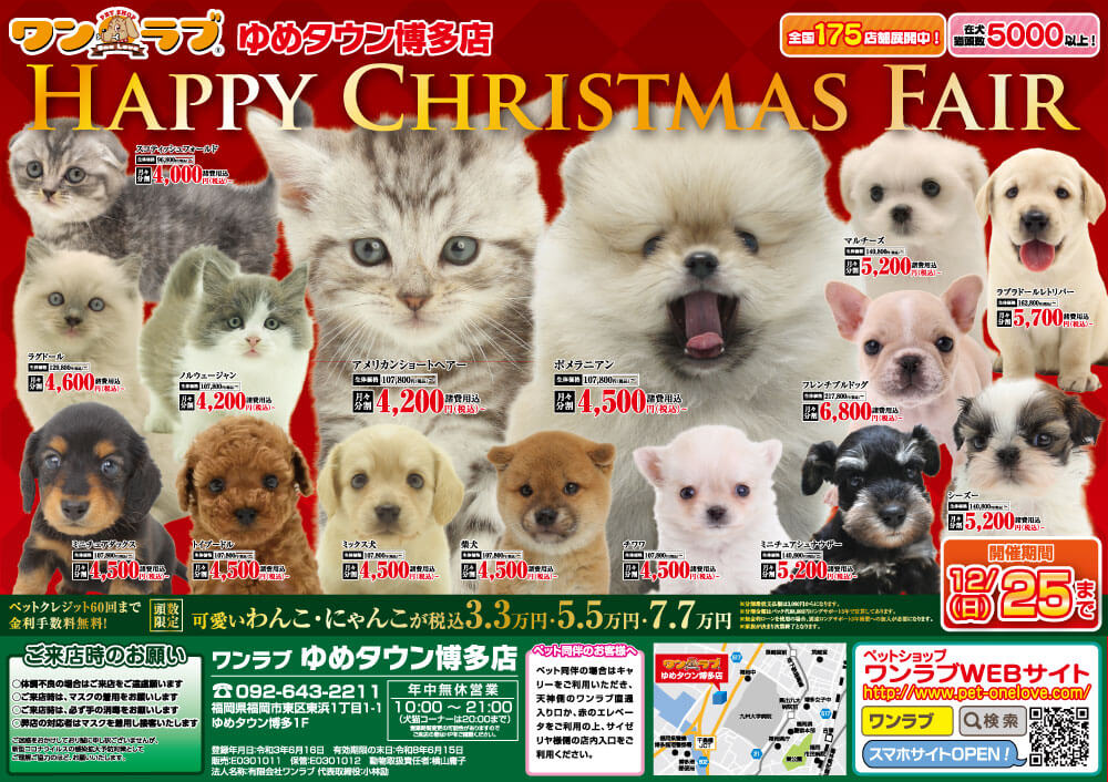 20221210-ペットショップワンラブ ゆめタウン博多店チラシ