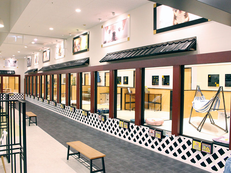 ペットショップワンラブ イオンタウン金沢示野店