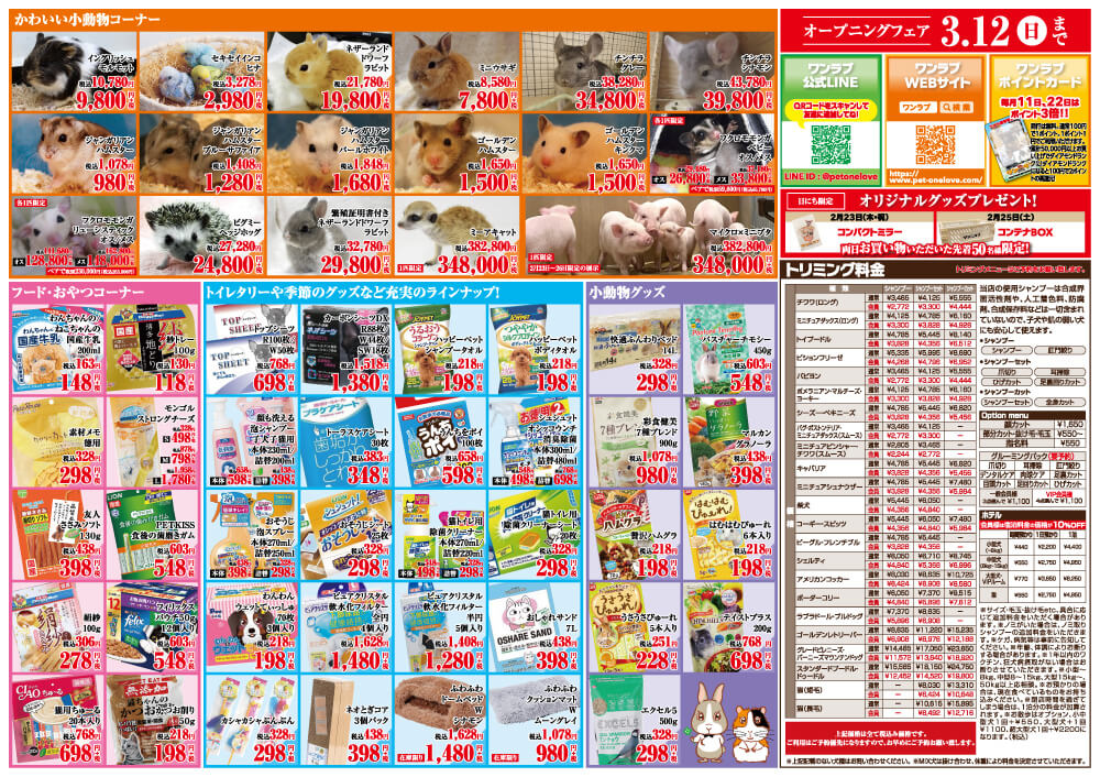 20230223-ペットショップワンラブ 豊橋豊川通り店チラシ