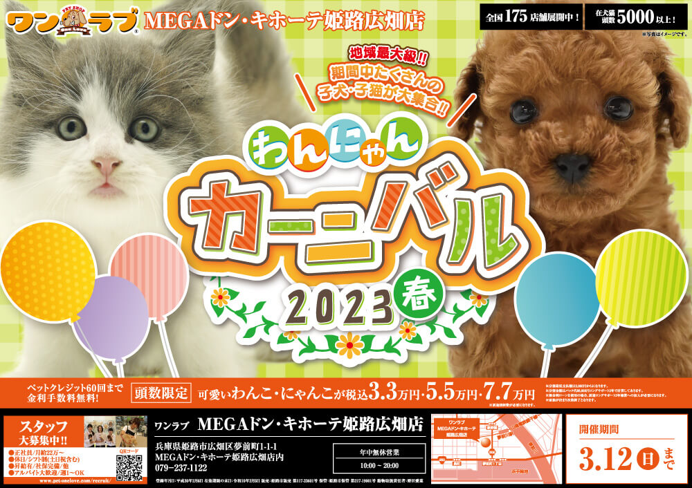 20230225-ペットショプワンラブ MEGAドン・キホーテ姫路広畑店チラシ