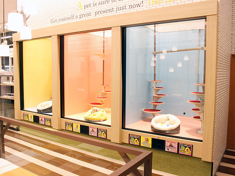 ペットショップワンラブ 豊橋豊川通り店