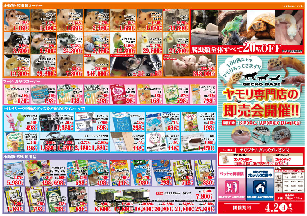 20230318-ペットショップワンラブ 浜松本店チラシ