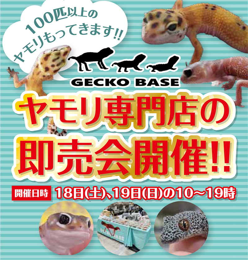 20230318-ペットショップワンラブ 浜松本店チラシ