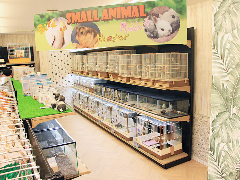 ペットショップワンラブ 浜松本店