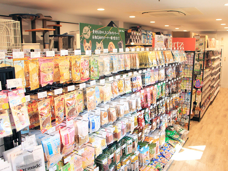 ペットショップワンラブ 浜松本店