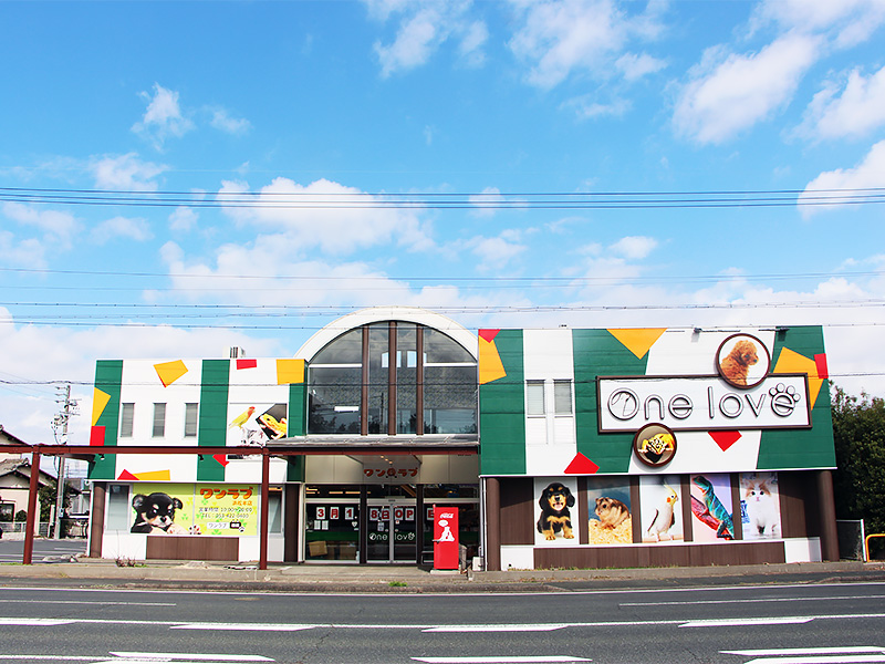 ペットショップワンラブ 浜松本店