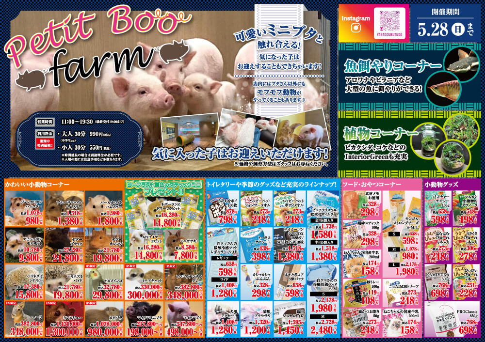 20230513-ペットショップワンラブ 矢場動物堂チラシ