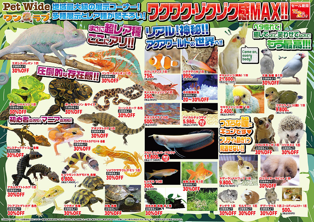 20230615-ペットショップワンラブ ホームワイドプラス都城店チラシ