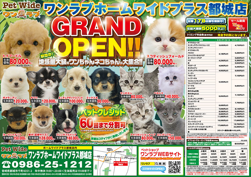 20230615-ペットショップワンラブ ホームワイドプラス都城店チラシ