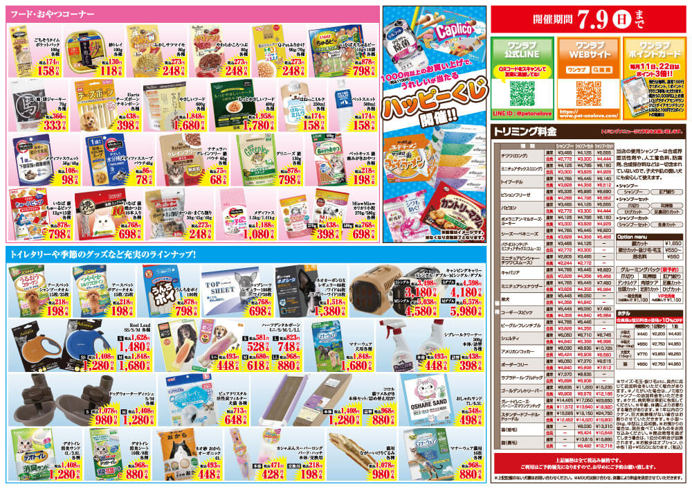 20230624-ペットショップワンラブ ららぽーと沼津店