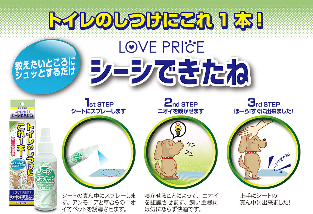 シーシできたね紹介