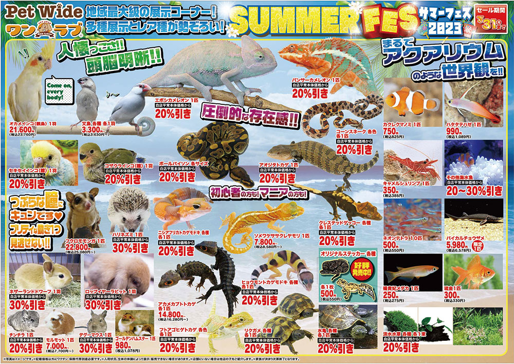 20230714-ペットショップワンラブ ホームワイドプラス都城店チラシ