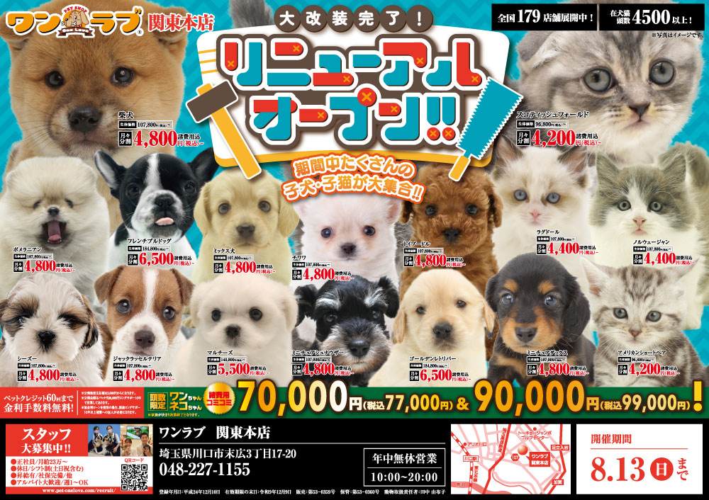 20230728-ペットショップワンラブ 関東本店チラシ