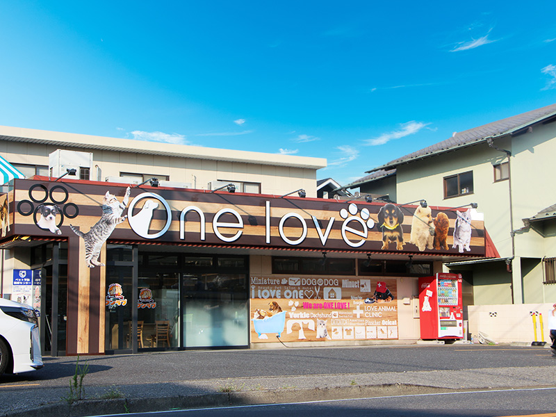 ペットショップワンラブ 関東本店
