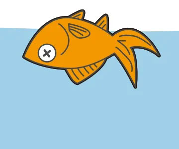 金魚について