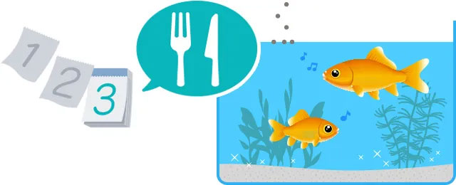 金魚について