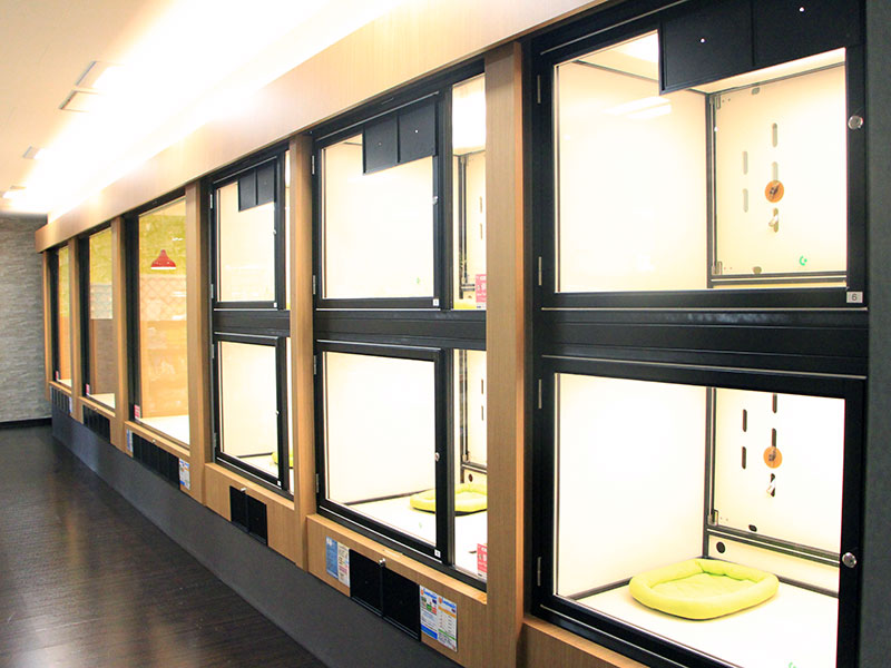 ペットショップワンラブ 関東本店