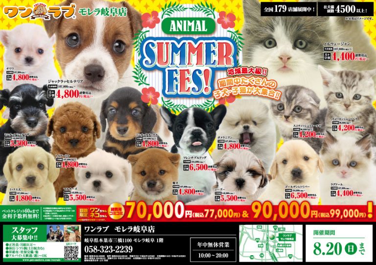 20230805-ペットショップワンラブ モレラ岐阜店チラシ