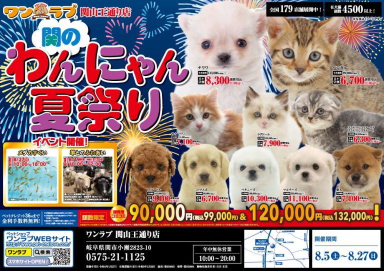 20230805-ペットショップワンラブ 関山王通り店チラシ