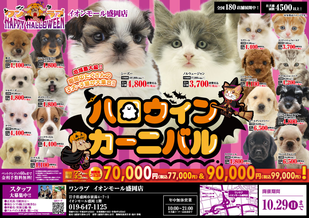 ハロウィンカーニバル開催！！】岩手県 ワンラブ イオンモール盛岡店