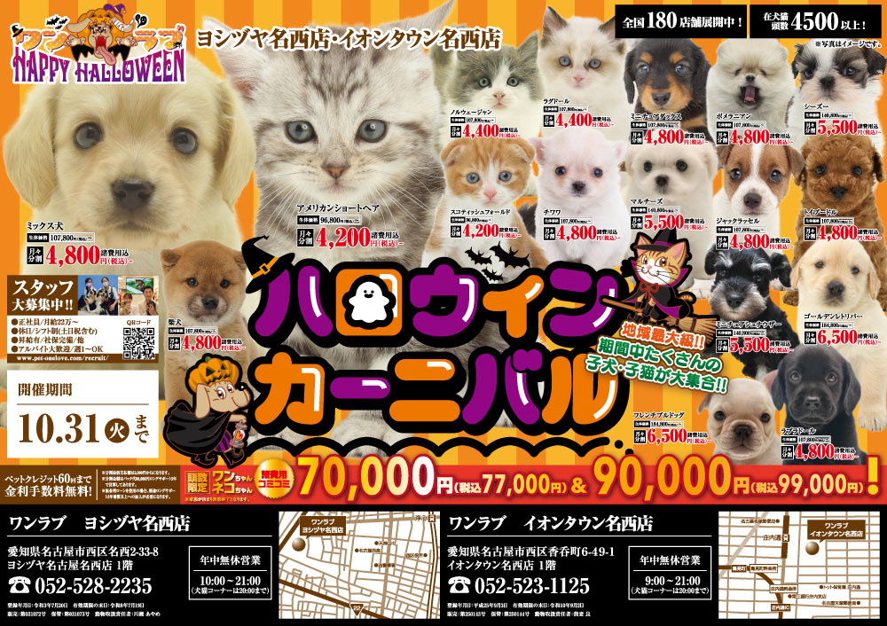 【ハロウィンカーニバル 開催！！】愛知県 ワンラブ ヨシヅヤ名西店＆イオンタウン名西店 合同イベント開催！！10/21～10/31まで｜ワンラブグループ