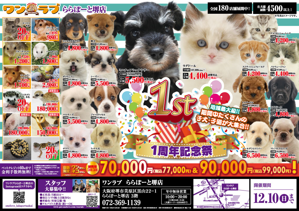 20231125-ペットショップワンラブ ららぽーと堺店チラシ