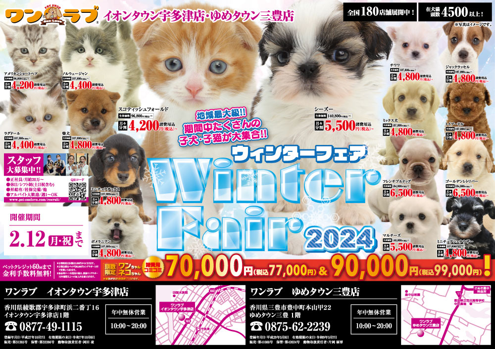 20240127-ペットショップワンラブ 四国２店舗合同チラシ