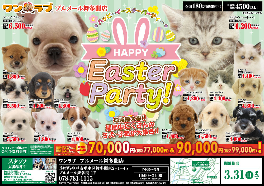 20240316-ペットショップワンラブ ブルメール舞多聞店チラシ