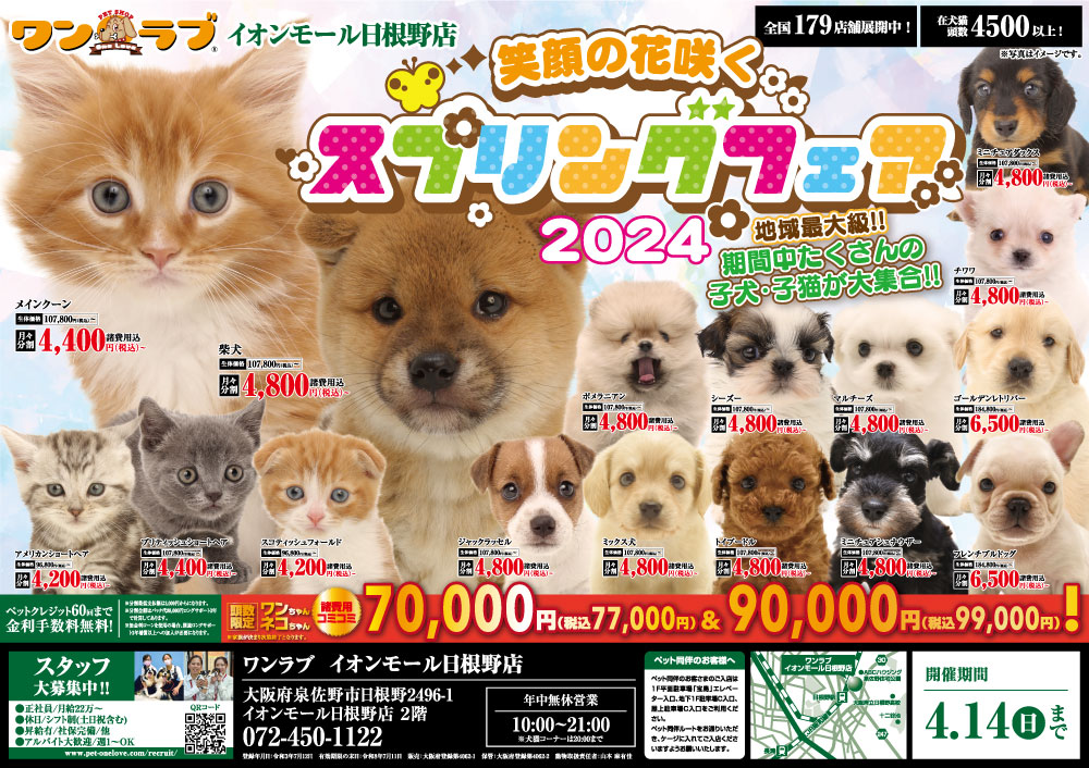 20240329-ペットショップワンラブ イオンモール日根野店チラシ
