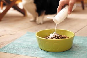 ニッピ「犬用あしたも走ろっ。」「猫用あしたも遊ぼっ。」