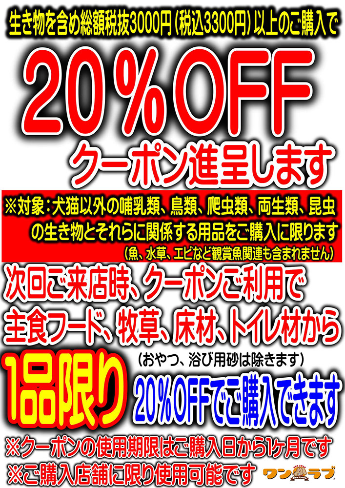 【5月アニマルコーナー特別！！】ワンラブ対象店舗限定！小動物・鳥・爬虫類・昆虫コーナーにてイベント開催！！｜ワンラブグループ