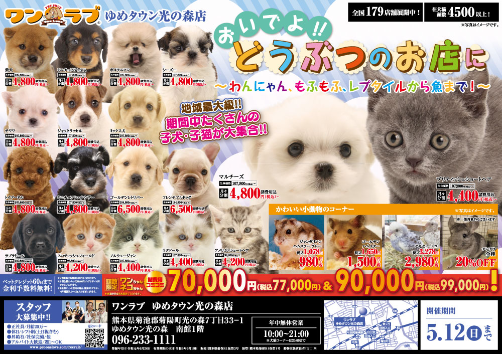 20240427-ペットショプワンラブ ゆめタウン光の森店チラシ