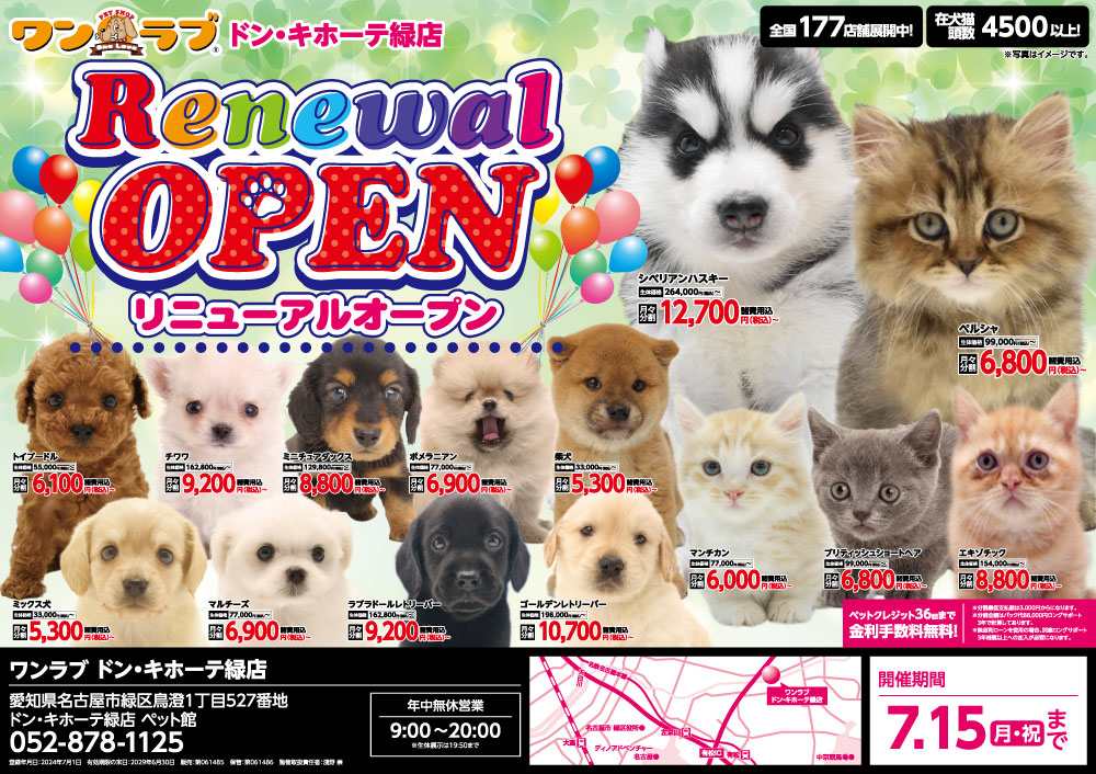 20240705-ペットショップワンラブ ドン・キホーテ緑店チラシ